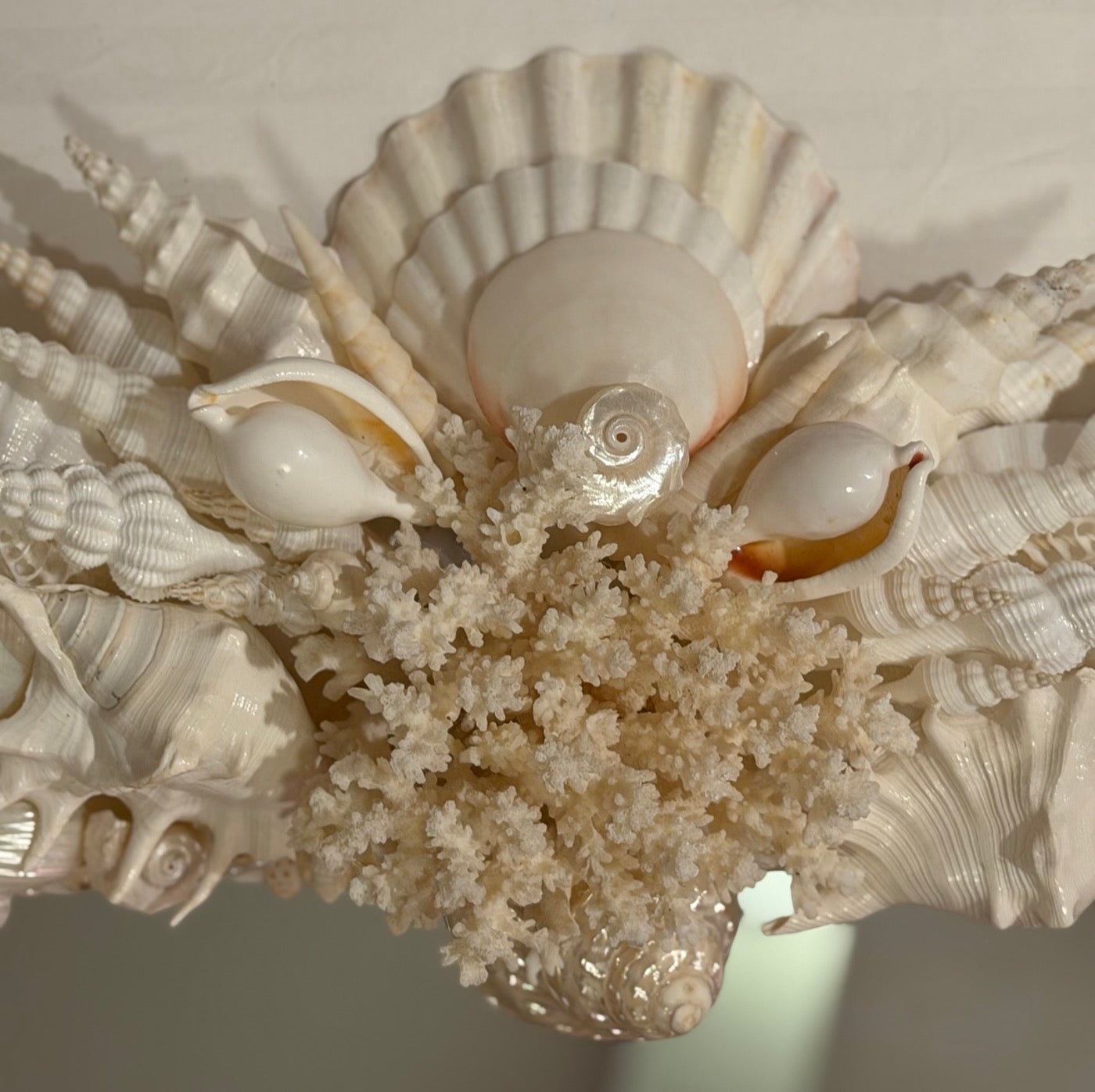 A scallop crest and coral spray, set into the frame