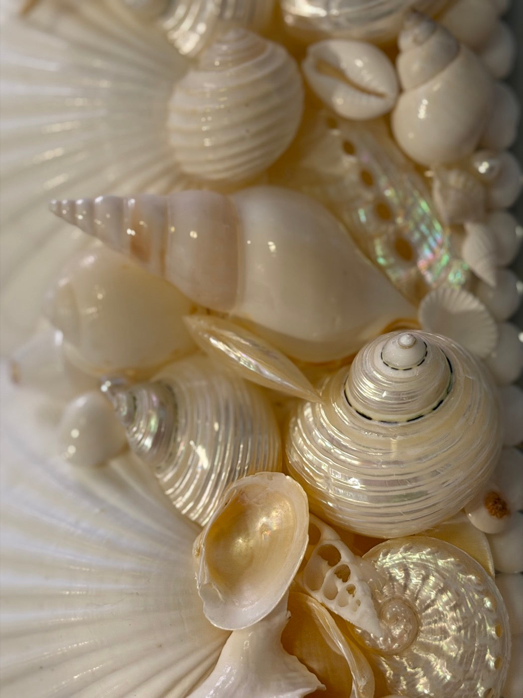 Pearl-lustre turbans, chosen for their sheen