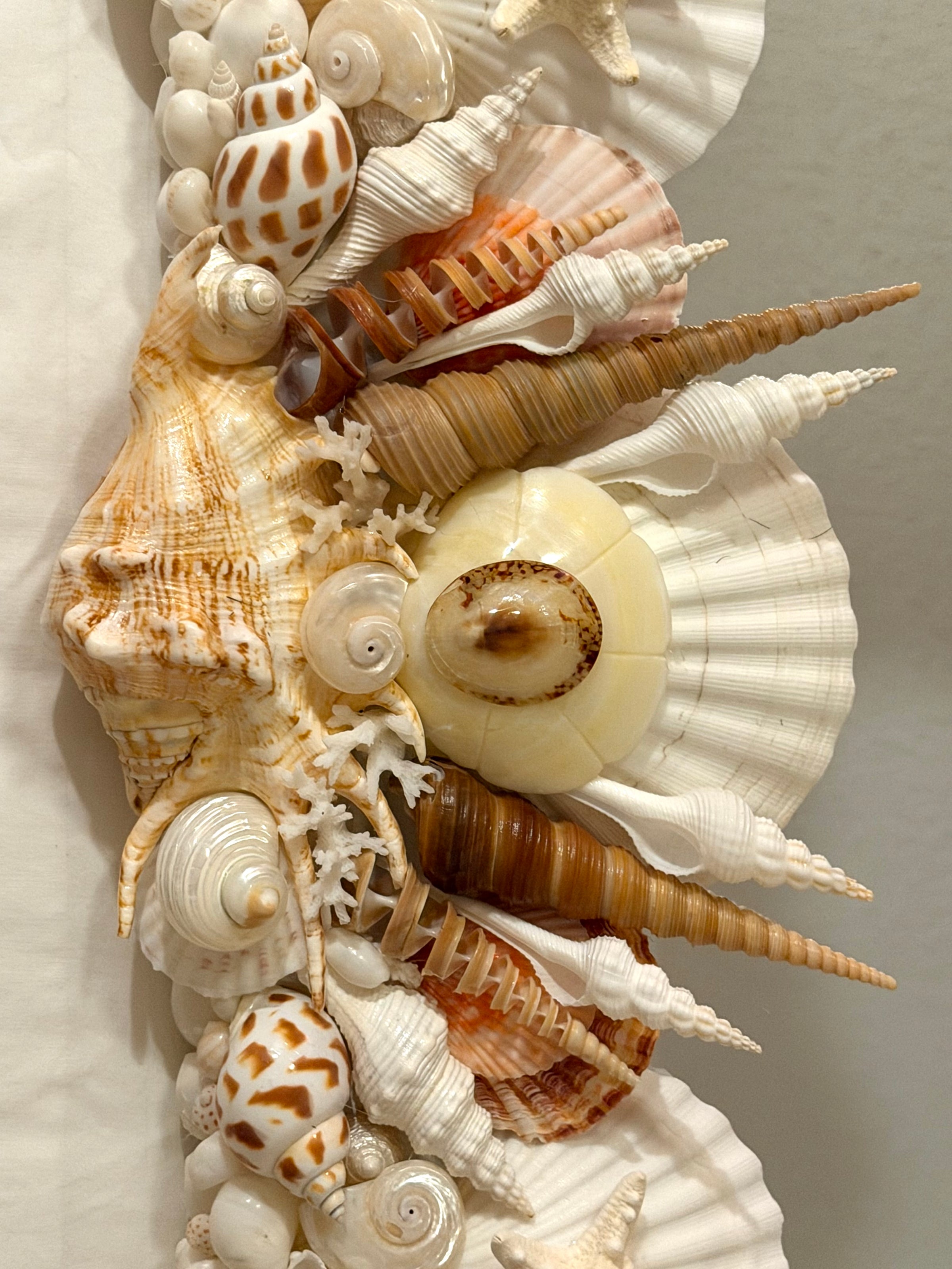 Shell Mirror No. 3