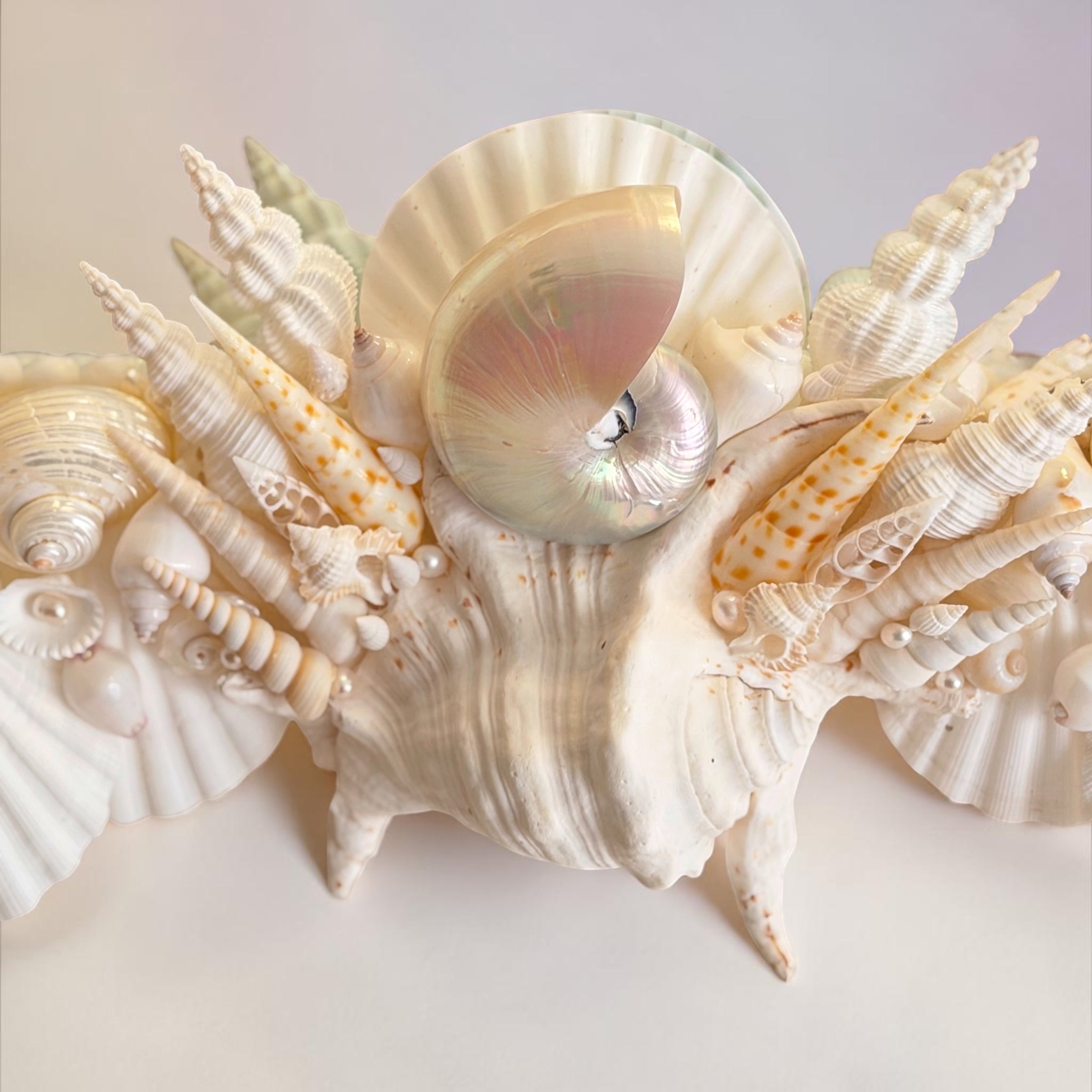 Sea Shell Mirror