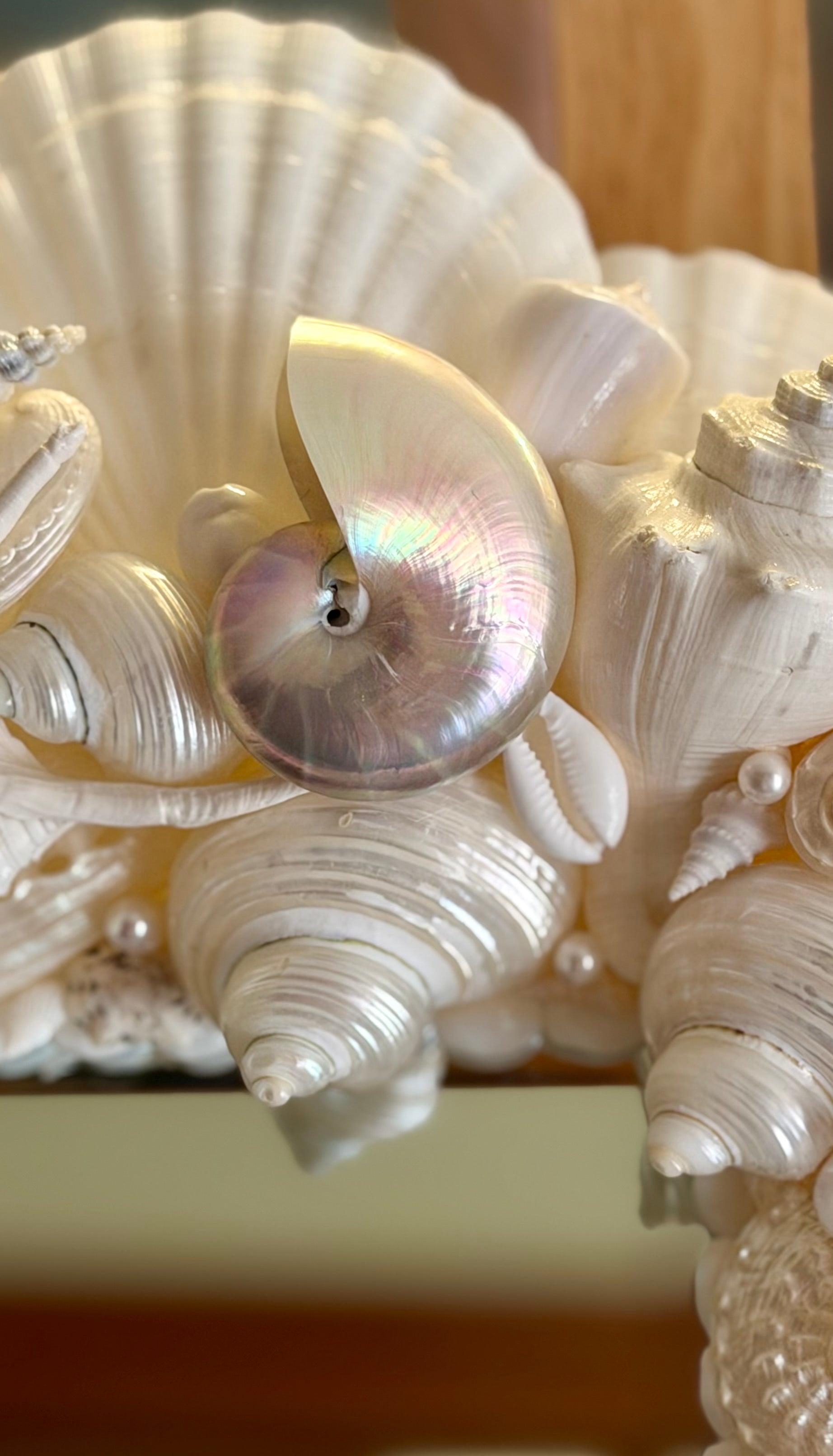 Sea Shell Mirror