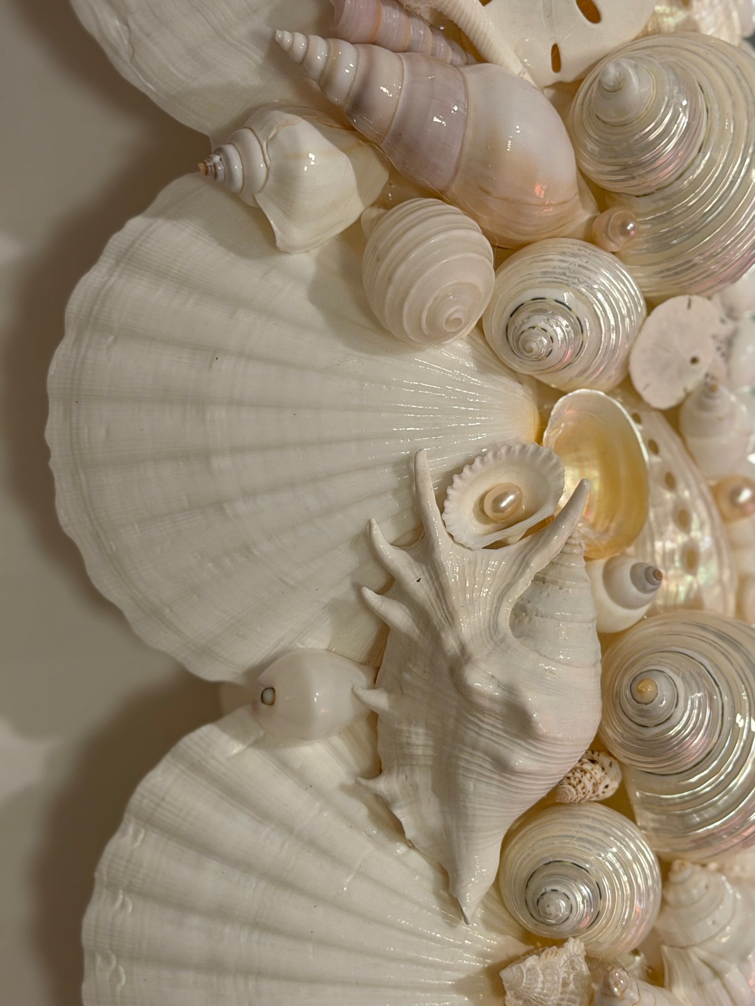 Sea Shell Mirror