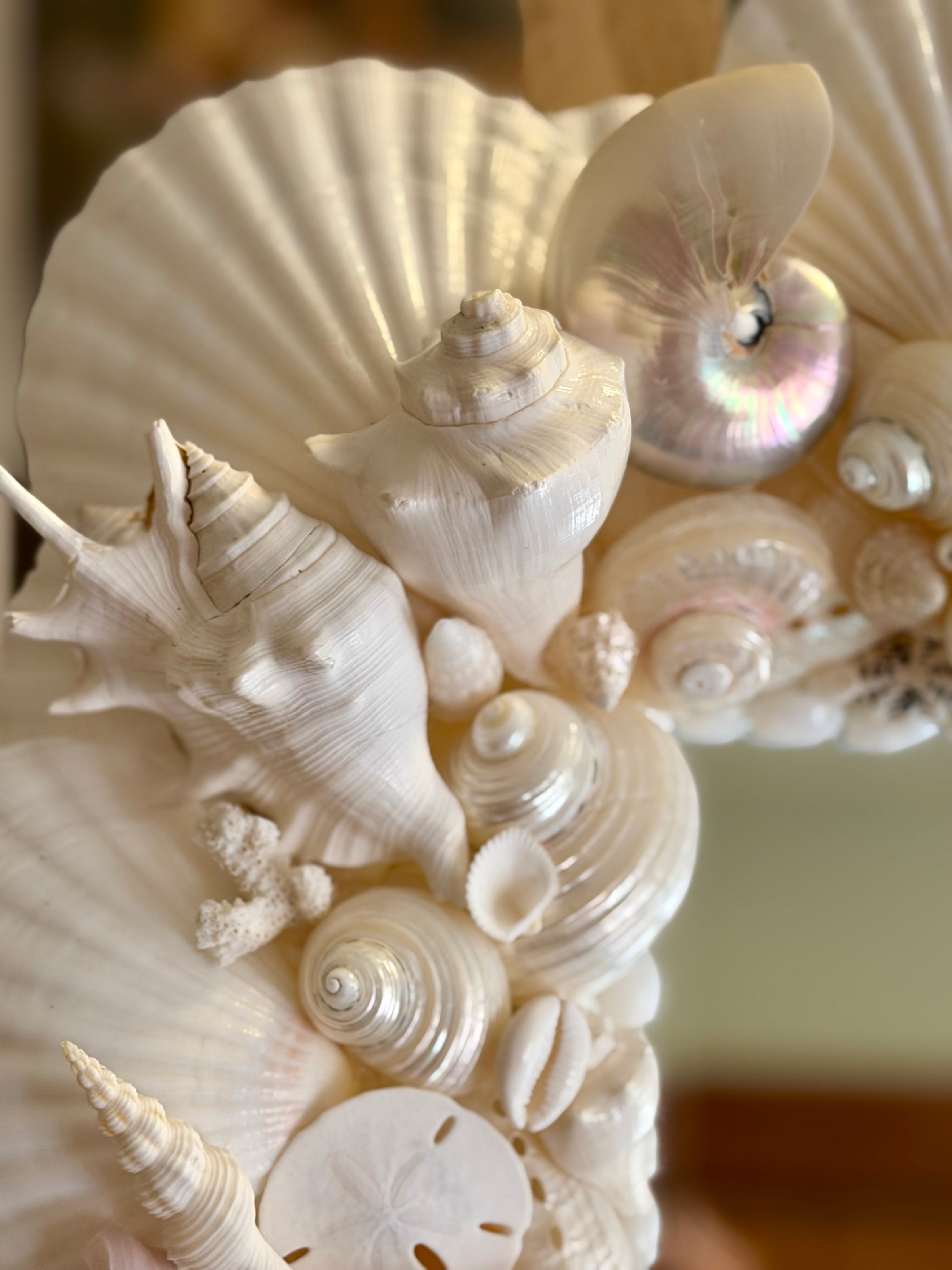 Sea Shell Mirror