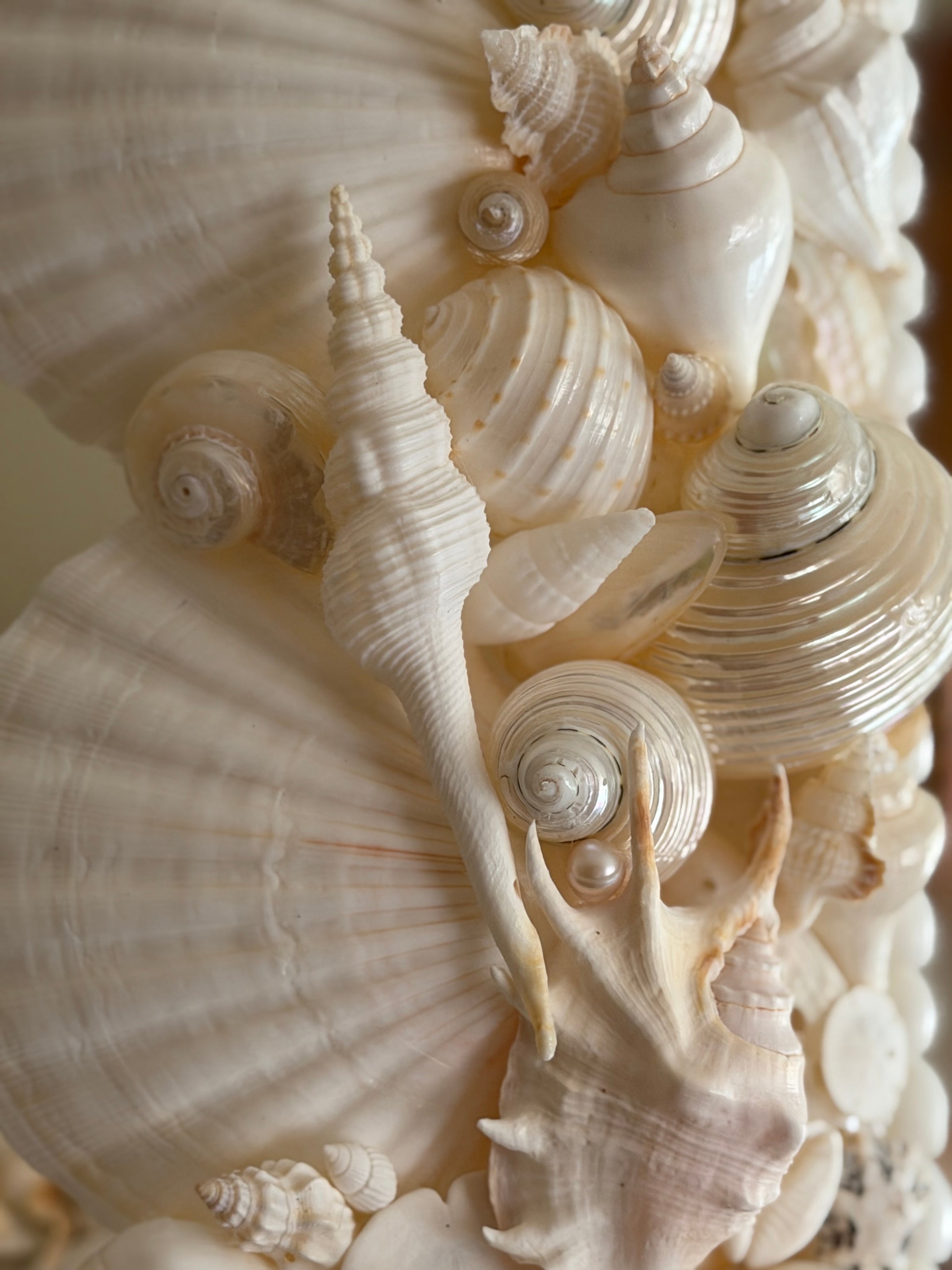 Sea Shell Mirror