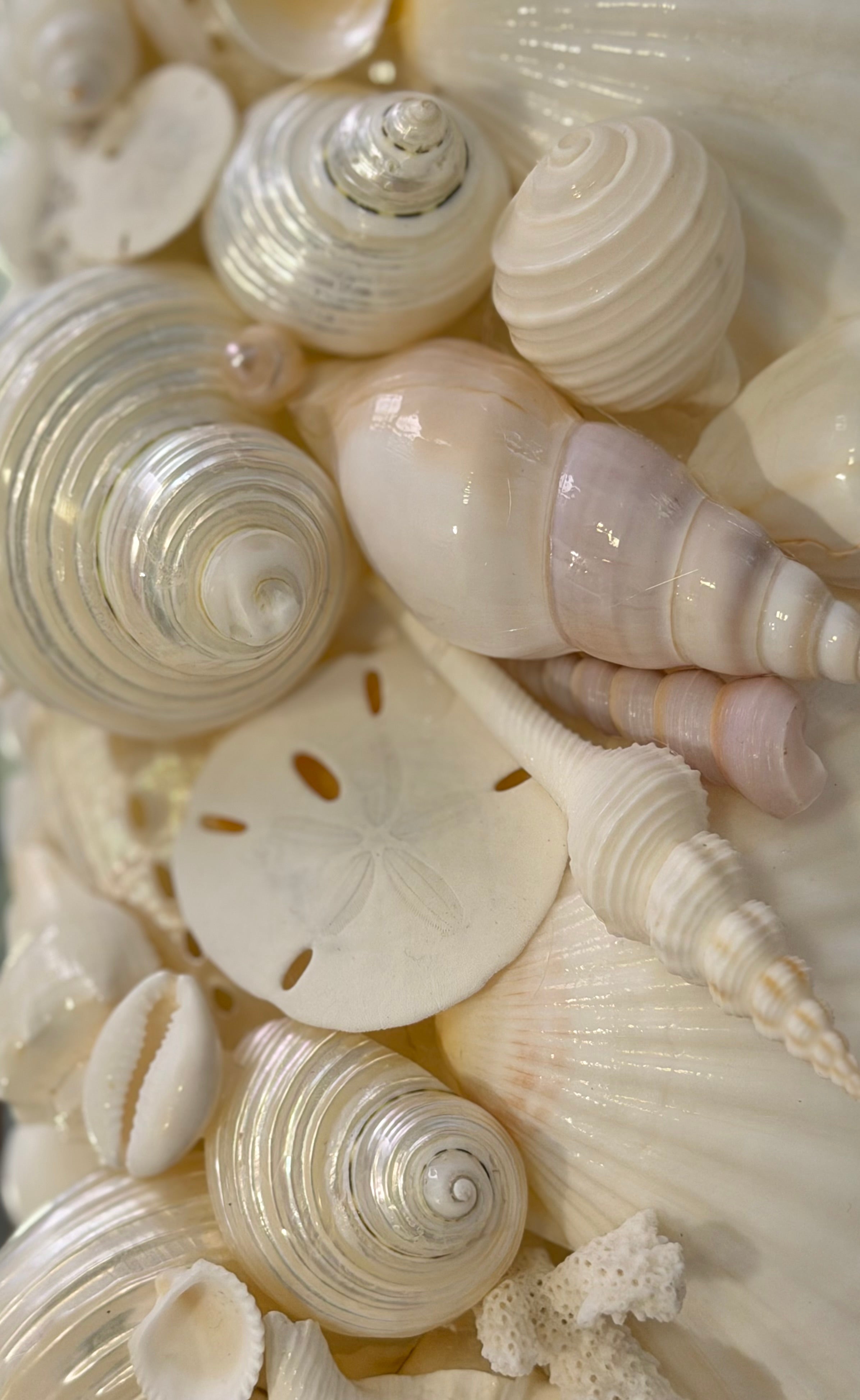 Sea Shell Mirror