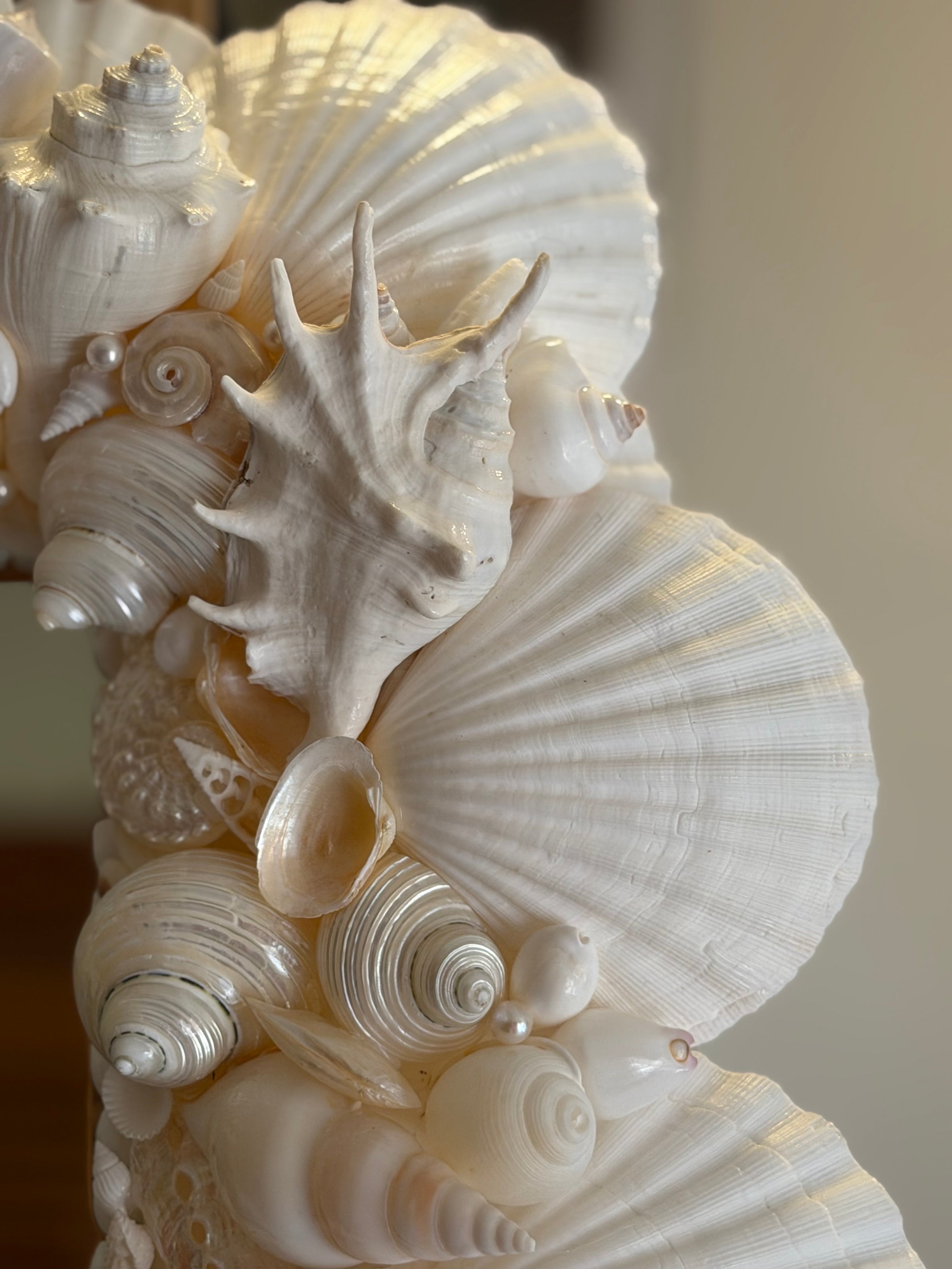 Sea Shell Mirror