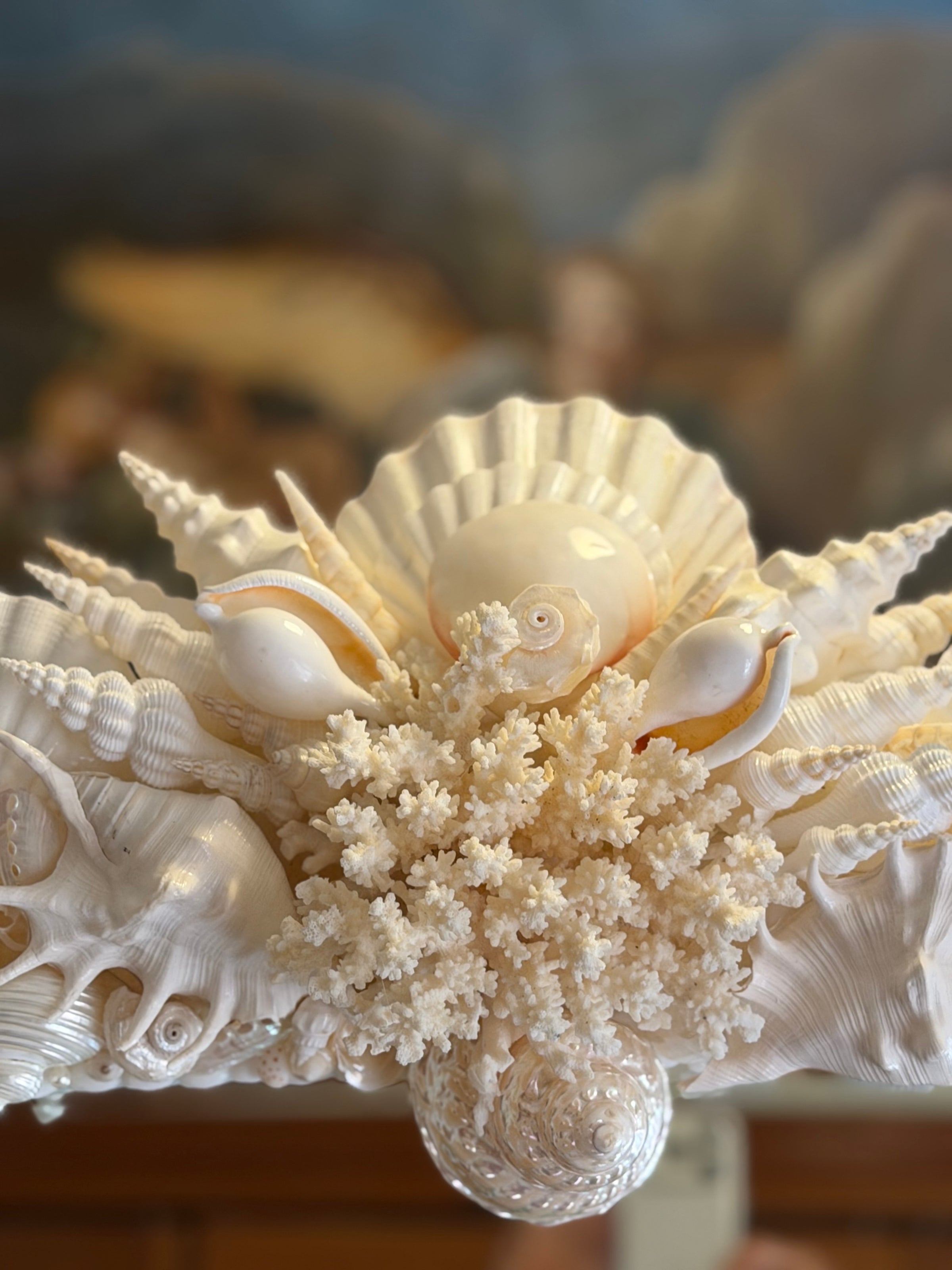 Sea Shell Mirror