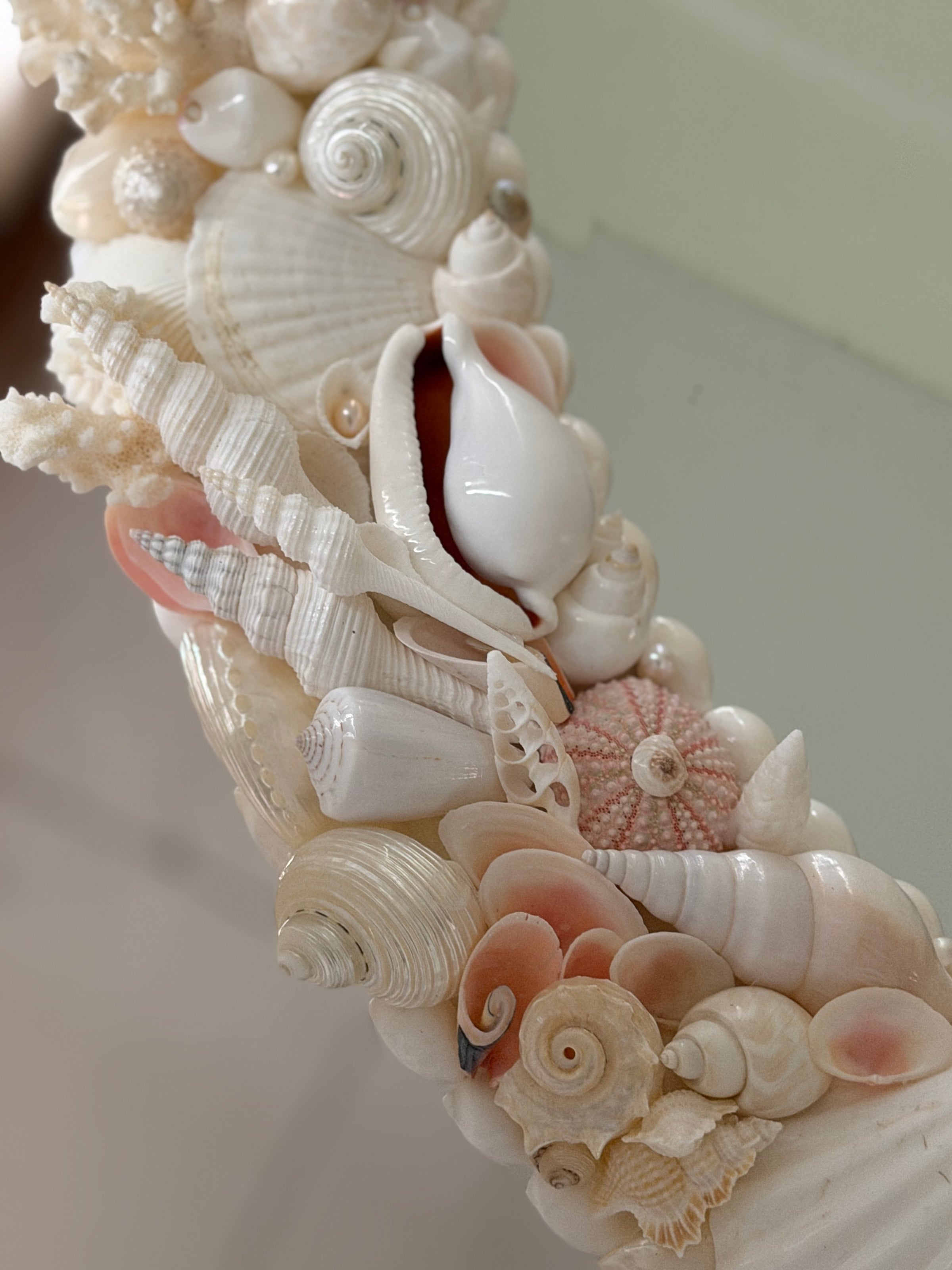Shell Mirror No. 2
