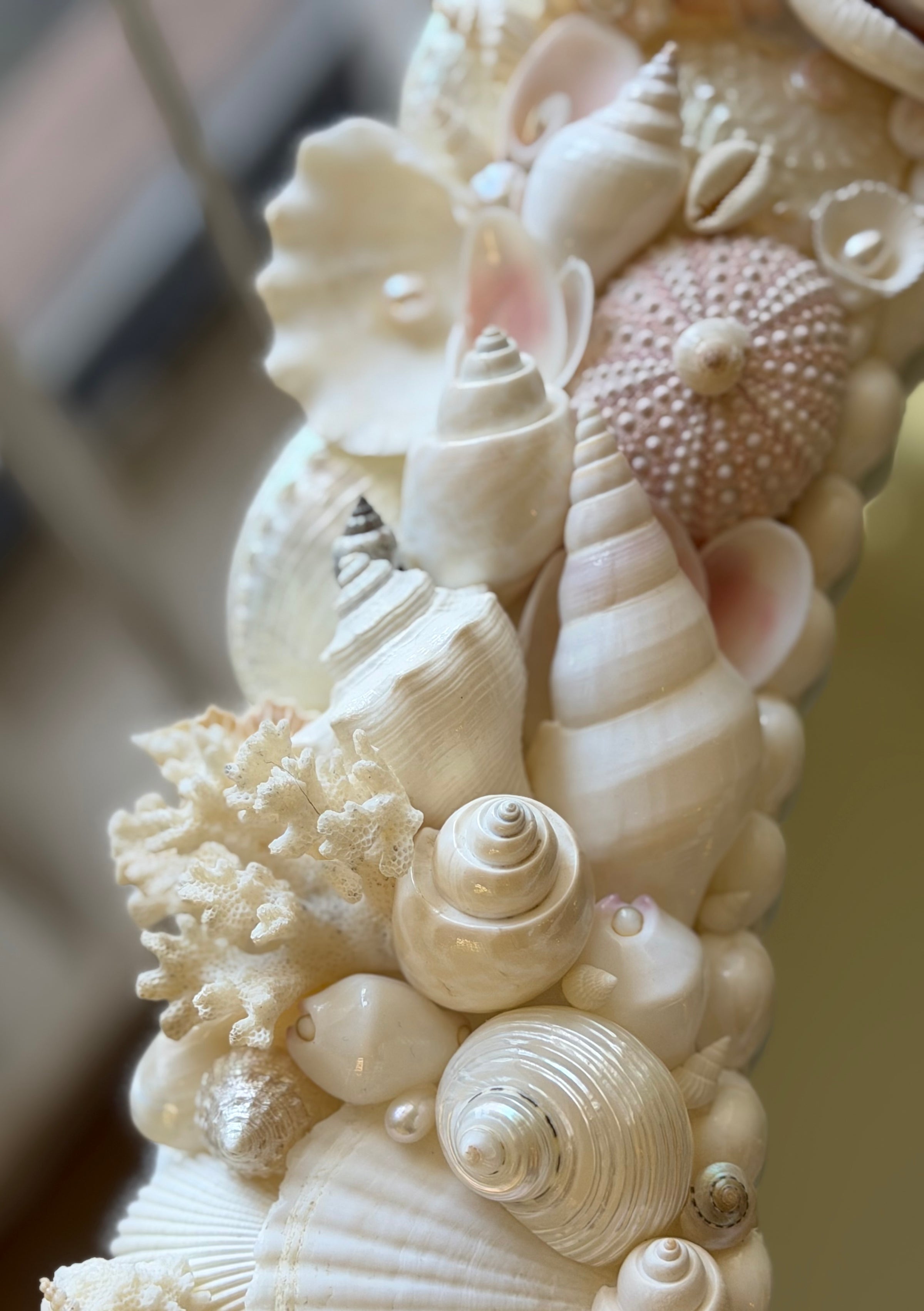 Shell Mirror No. 2