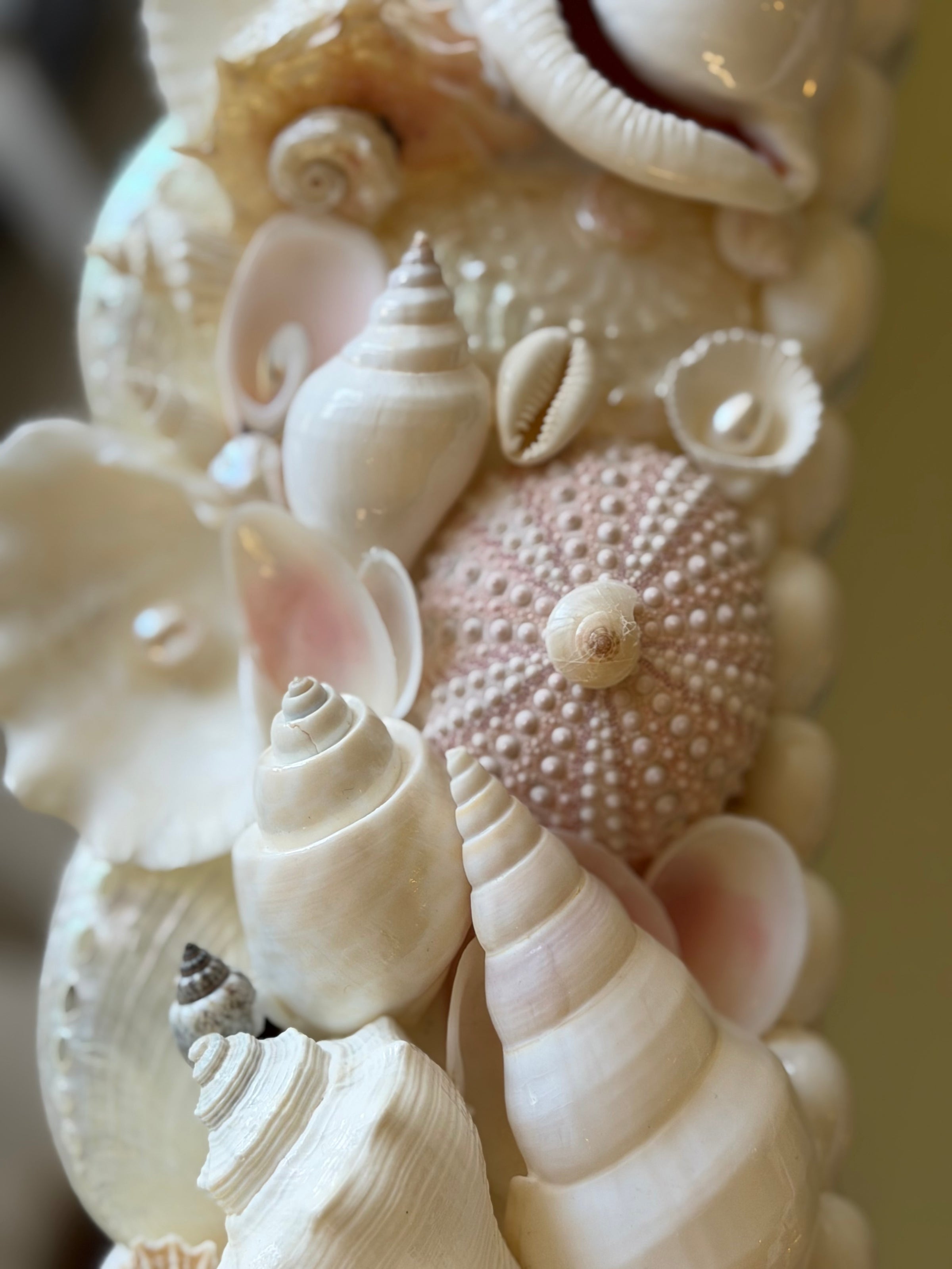 Shell Mirror No. 2