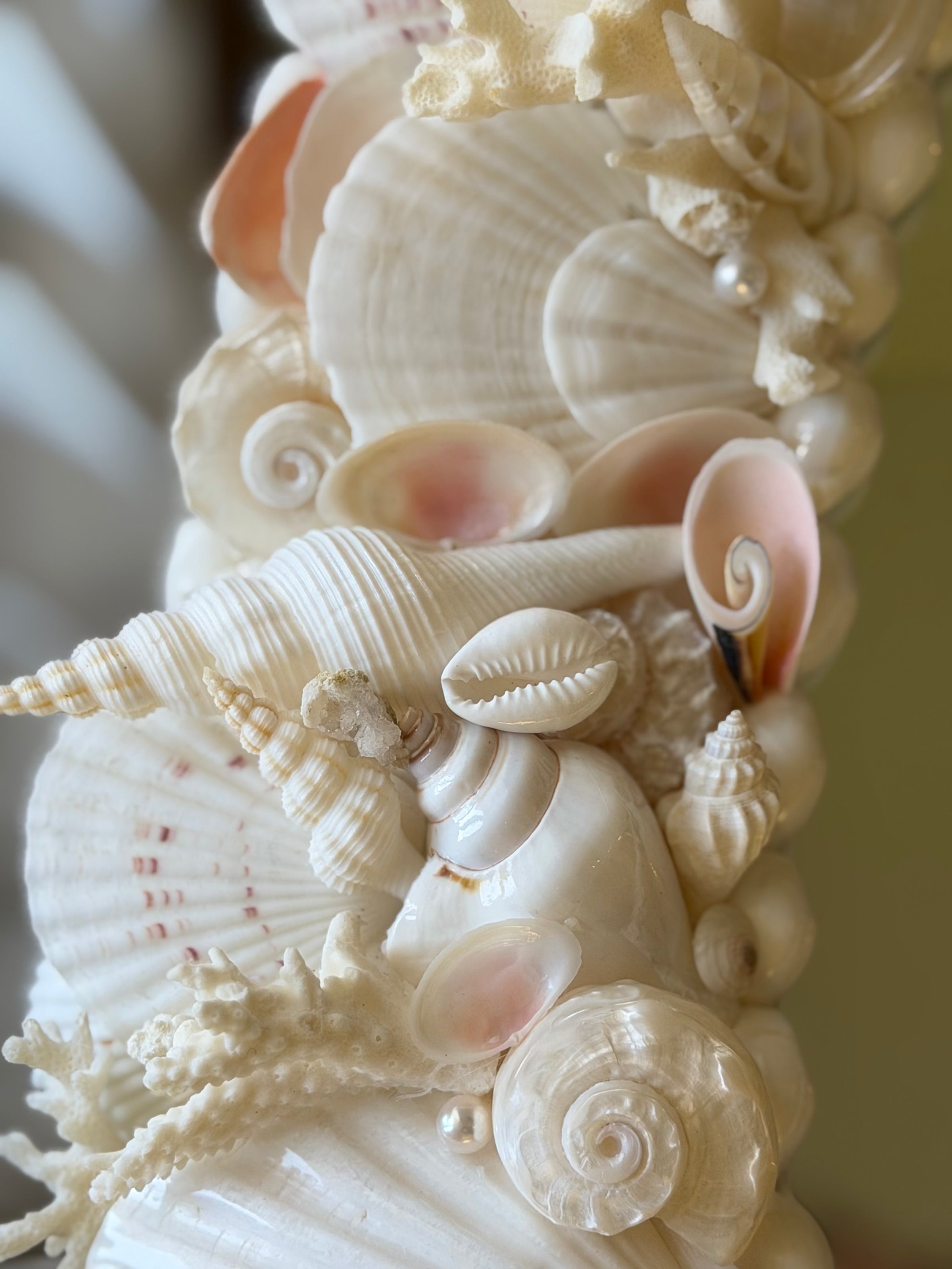 Shell Mirror No. 2