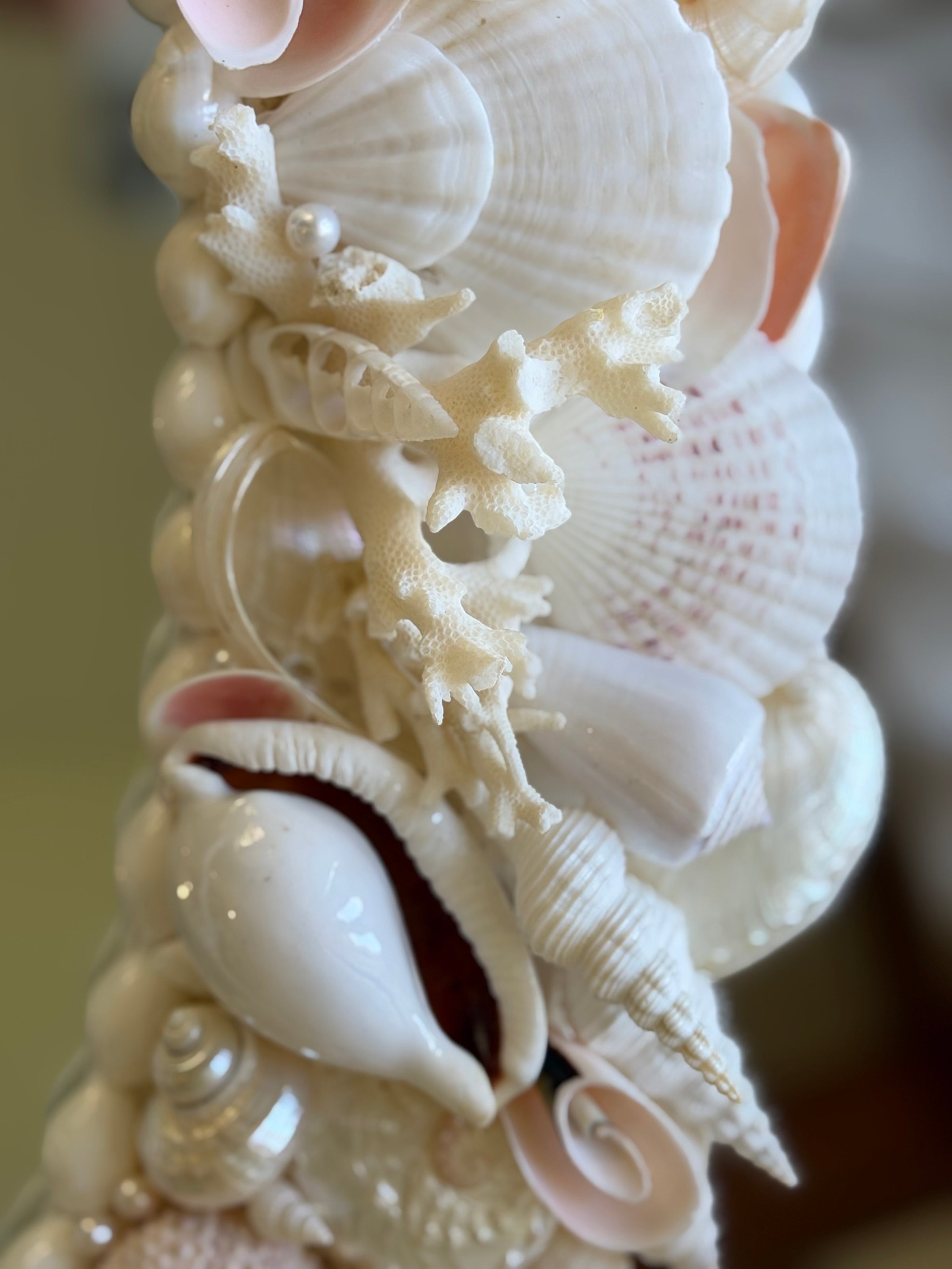 Shell Mirror No. 2