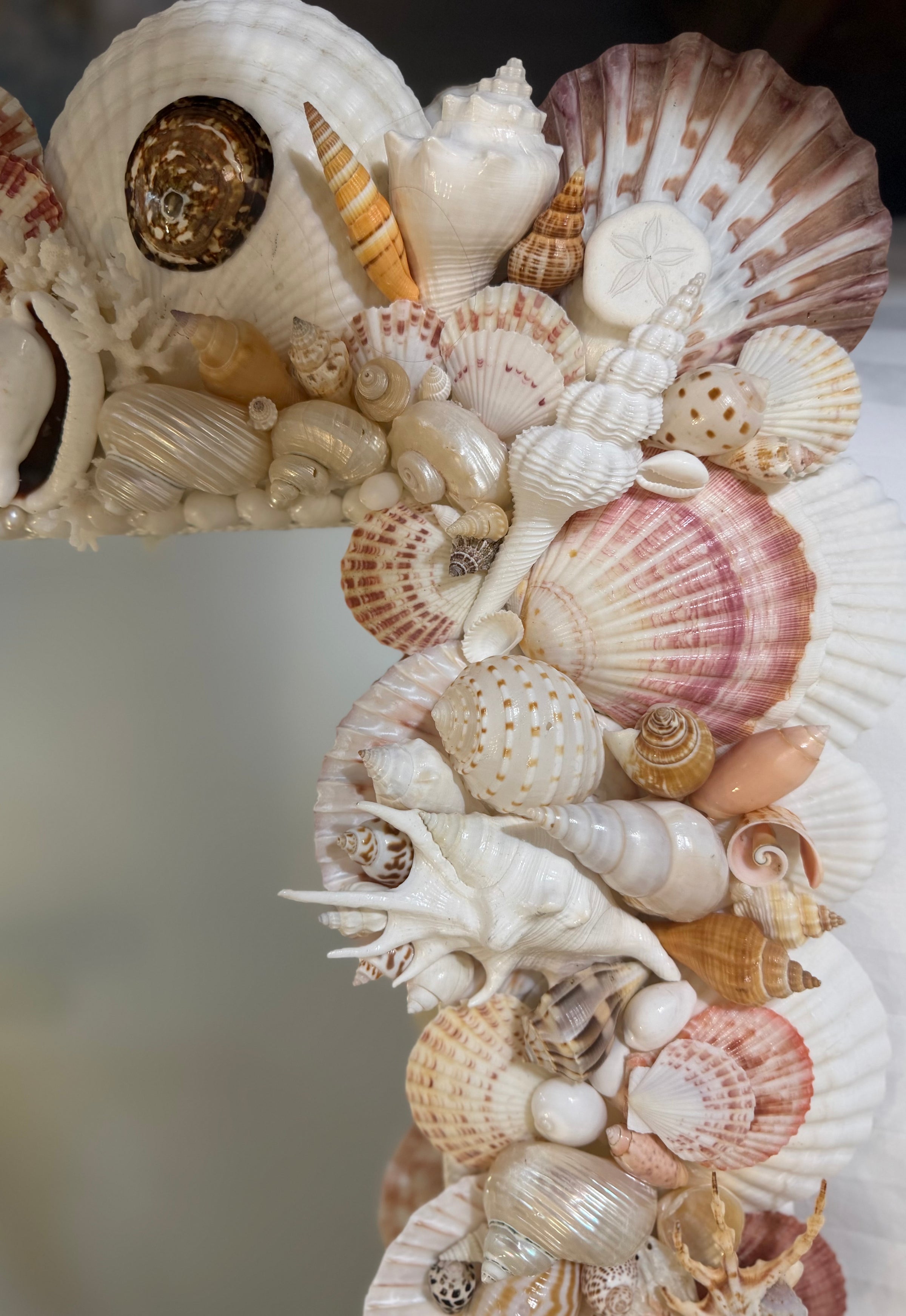 Shell Mirror No. 3