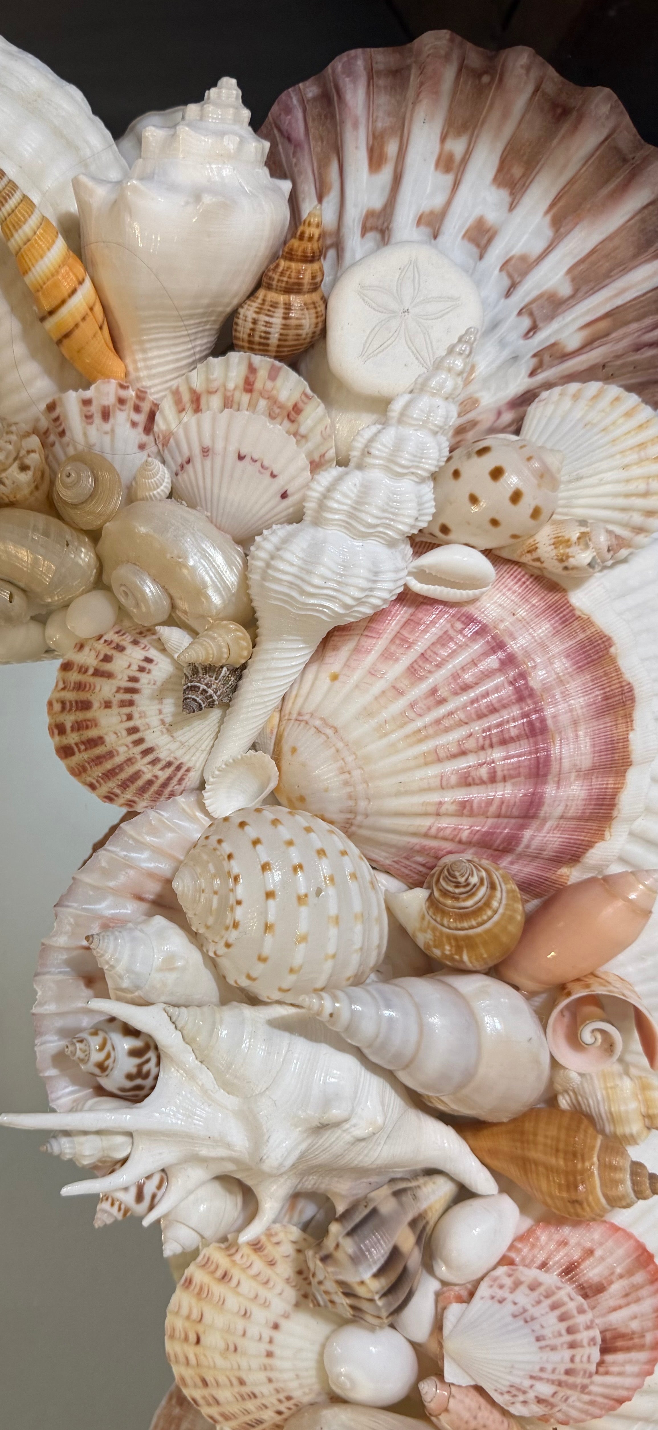 Shell Mirror No. 3