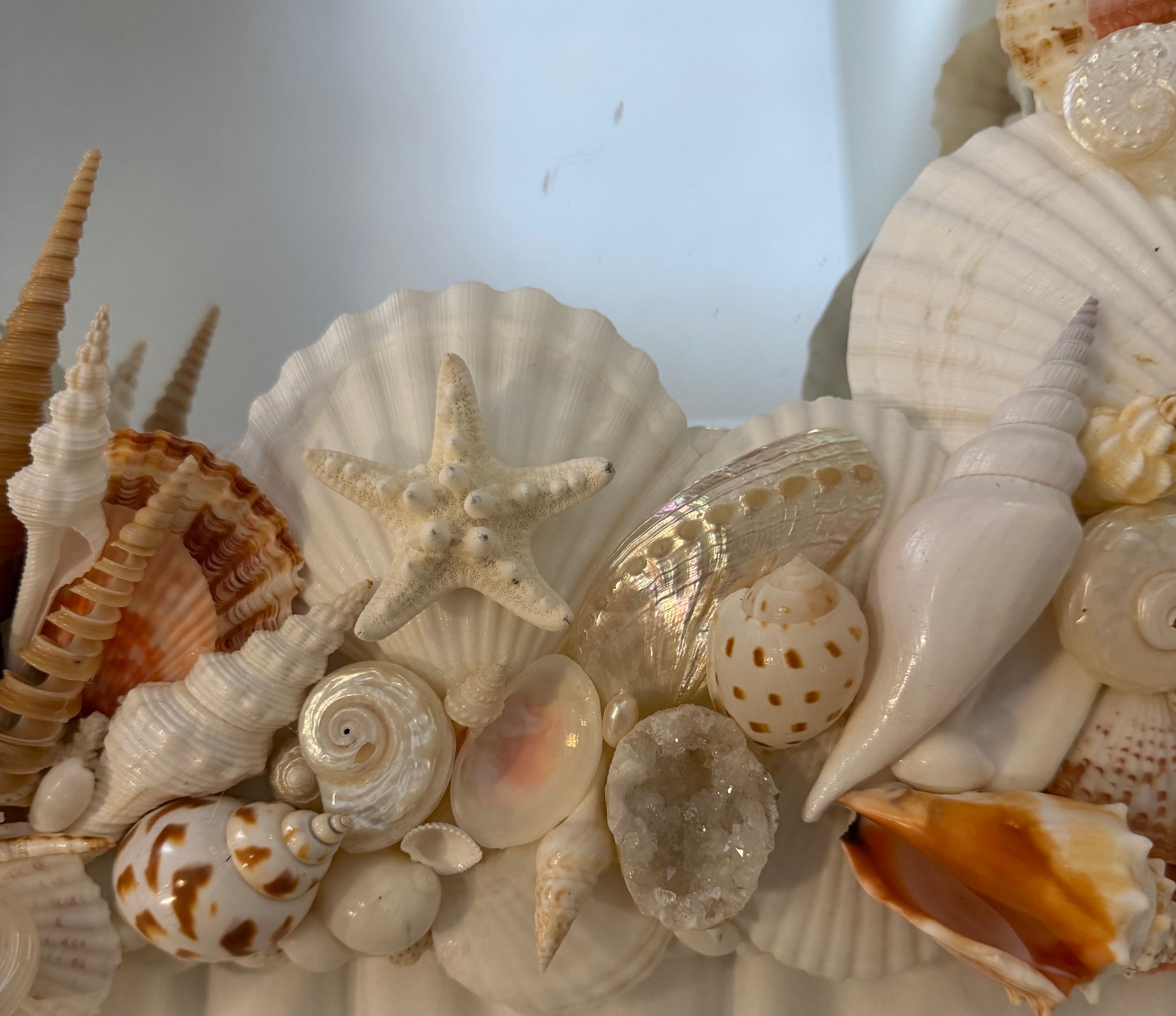 Shell Mirror No. 3