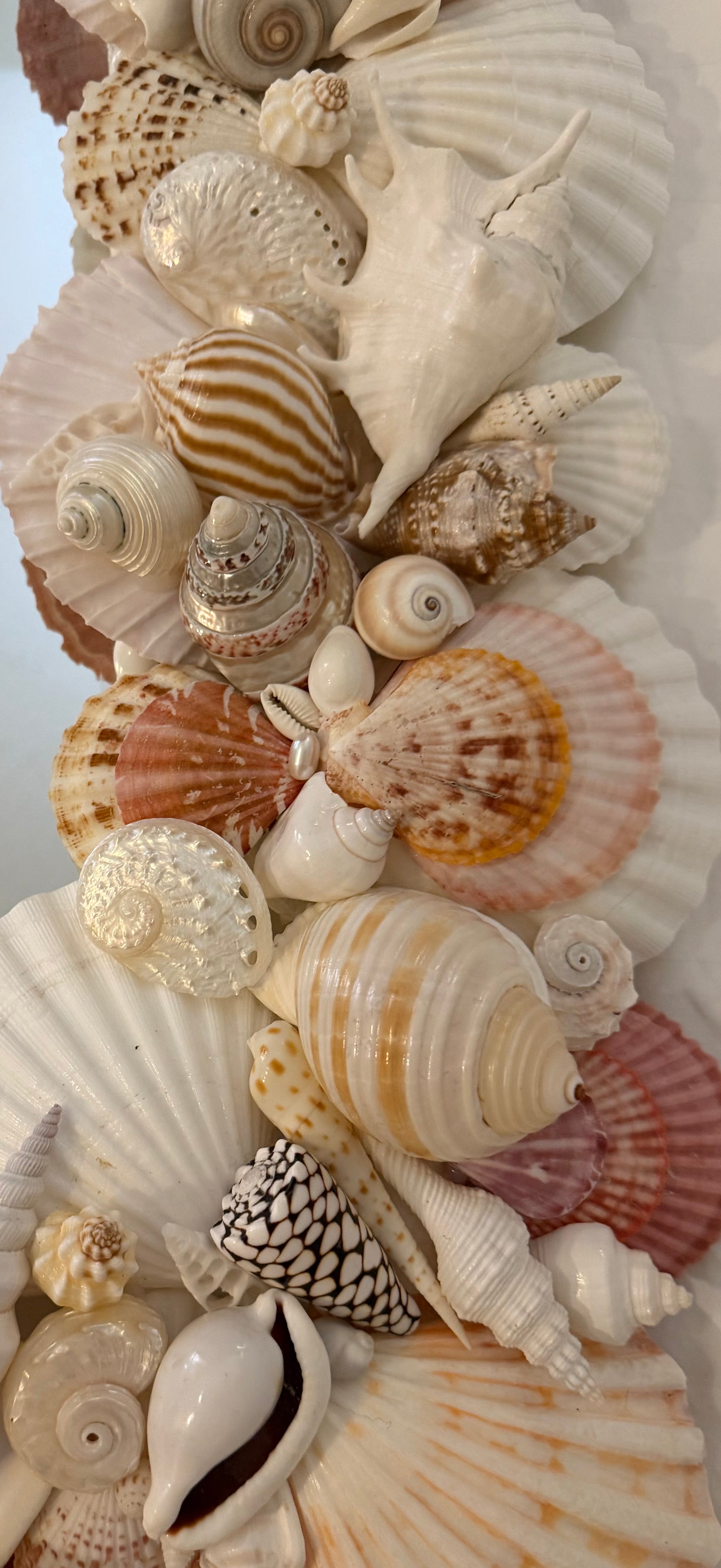 Shell Mirror No. 3