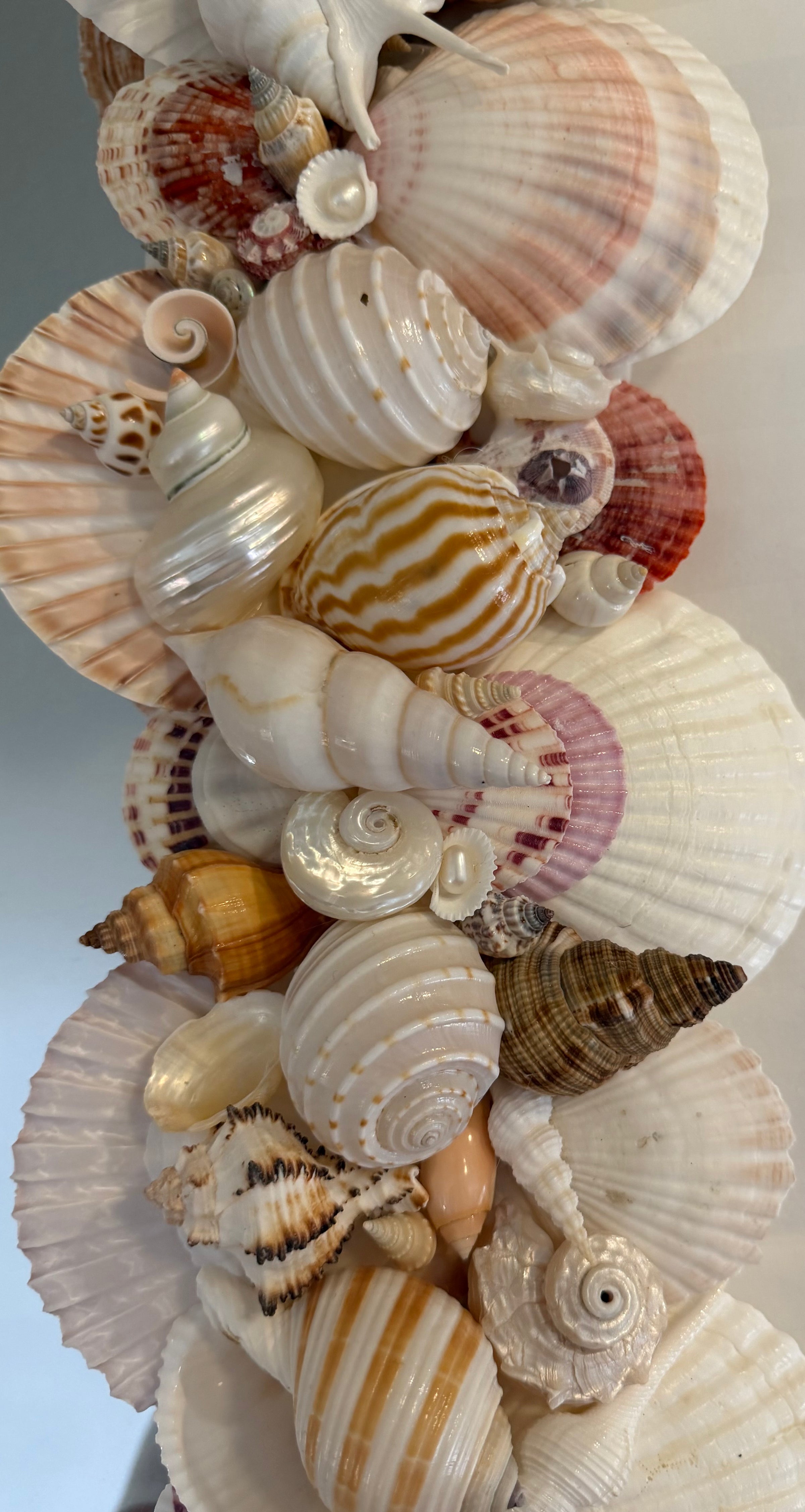 Shell Mirror No. 3