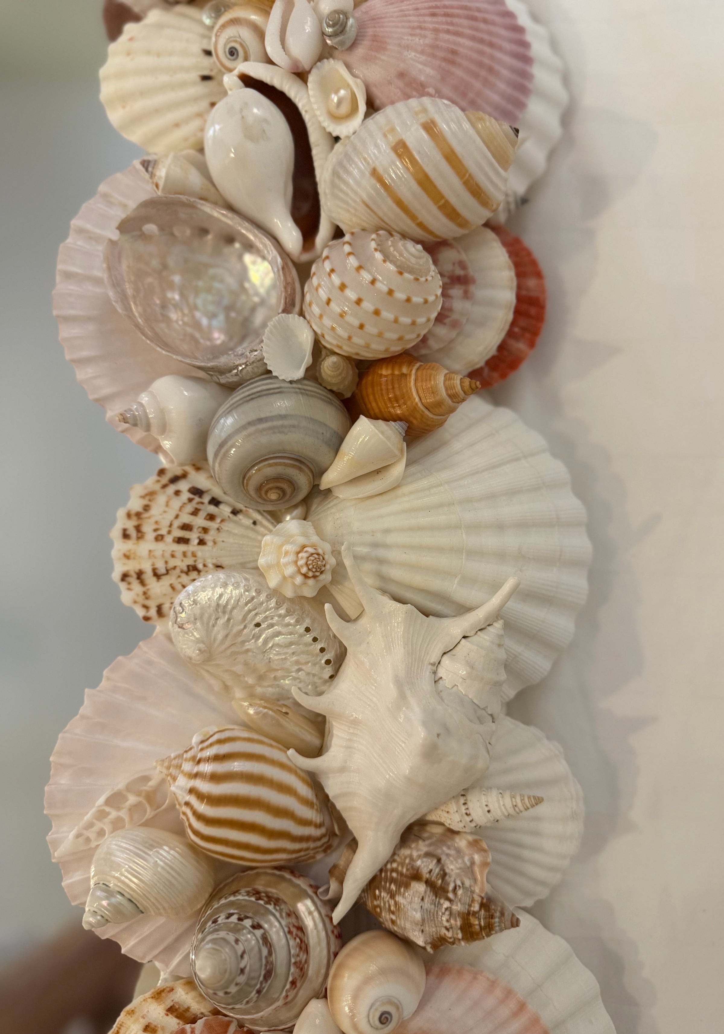 Shell Mirror No. 3