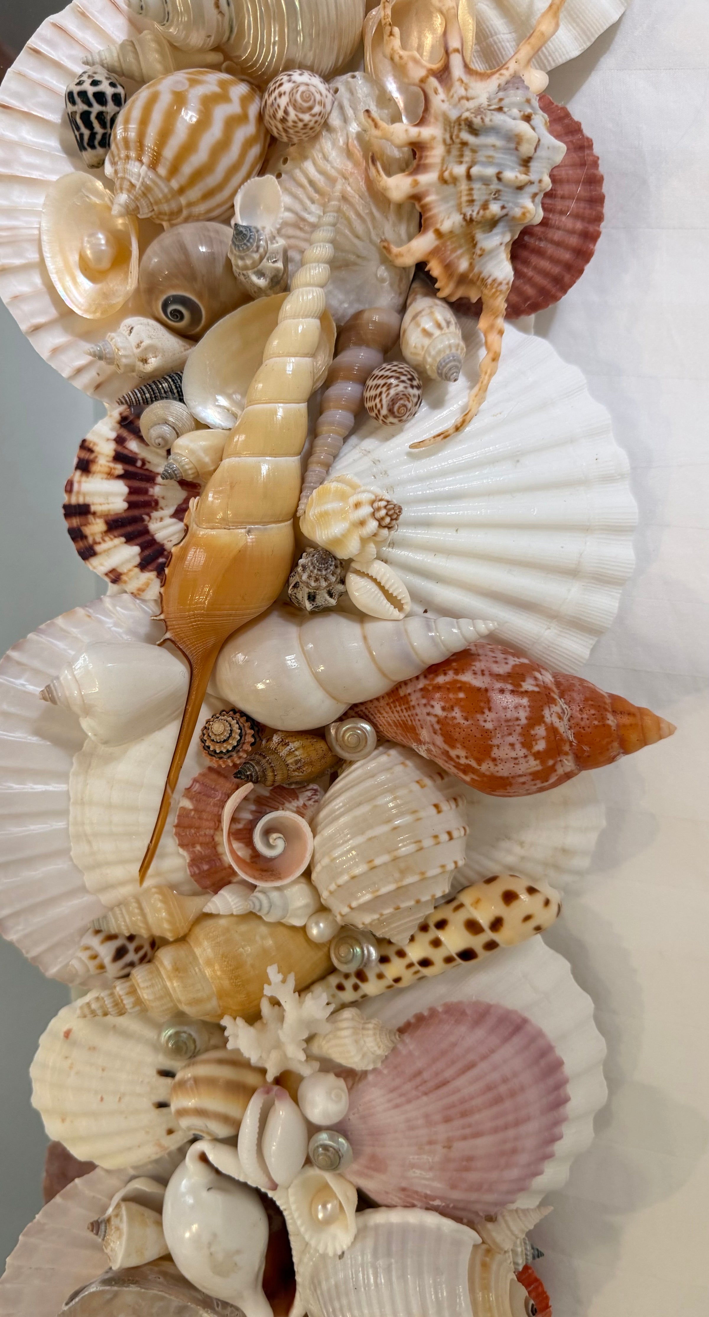 Shell Mirror No. 3