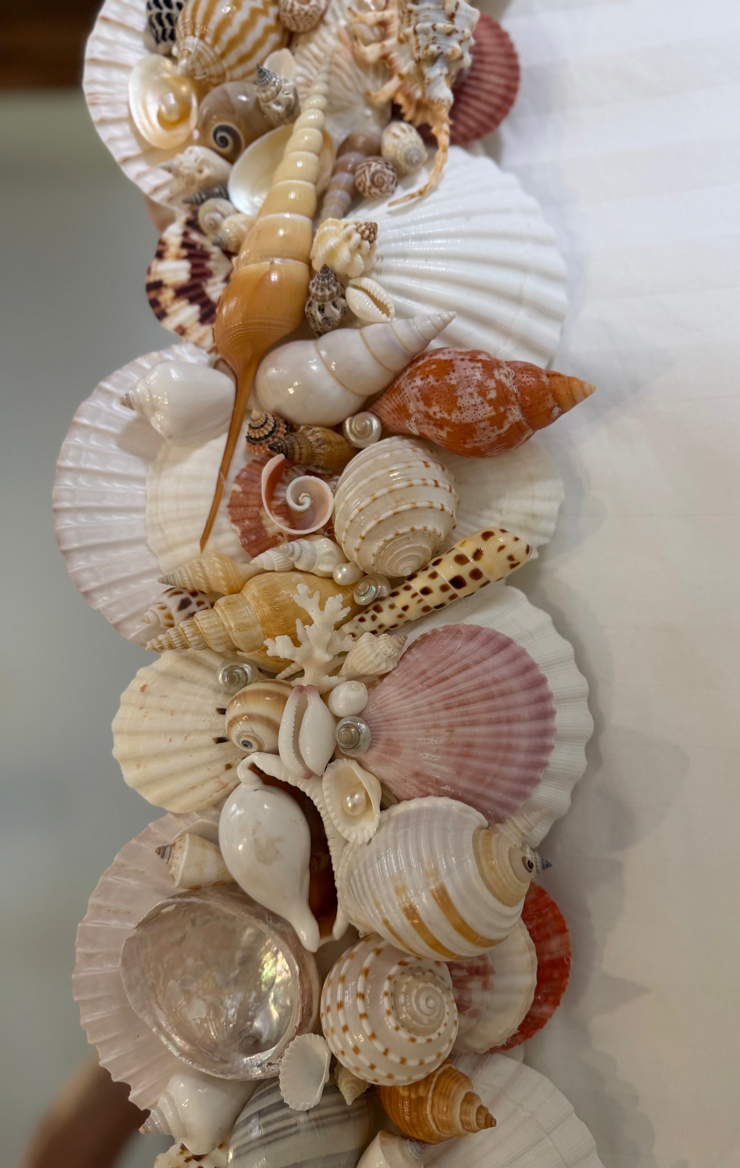 Shell Mirror No. 3
