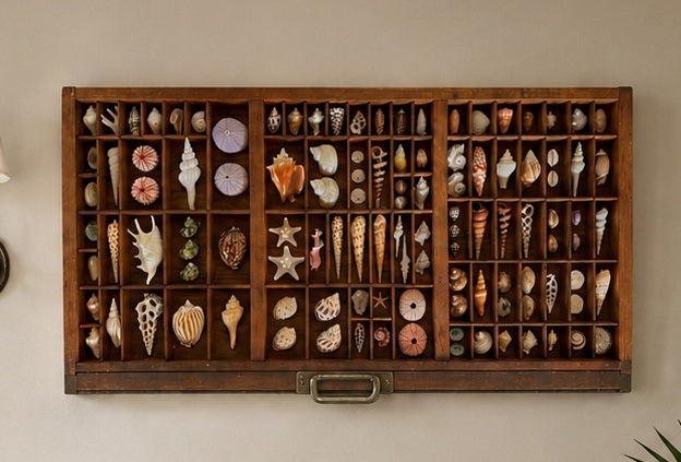 Vintage Antique Shell Tray
